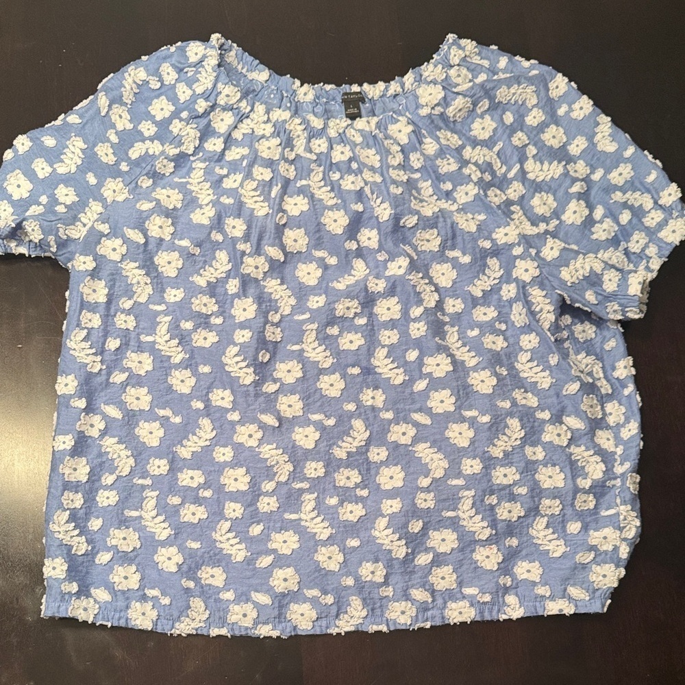 Ann Taylor Blue and White Floral Top